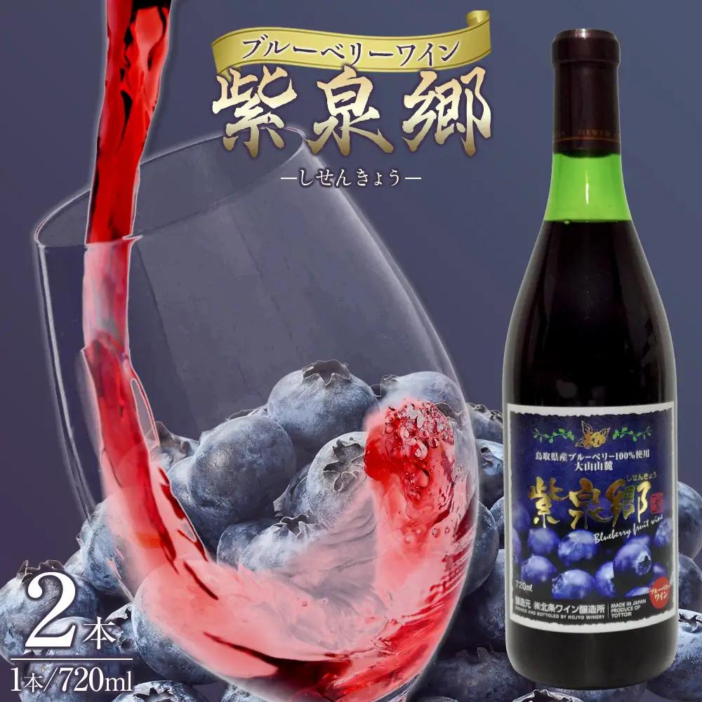 酒 ワイン ブルーベリーワイン 紫泉郷（しせんきょう） 2本 （ 720ml× 2 ）