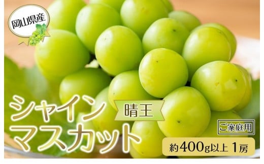 
            岡山県産 ぶどう  2026年発送 ご家庭用 シャインマスカット 晴王 約400g×1房 ブドウ フルーツ 果物
          