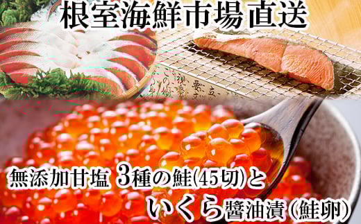 
            B-14045 無添加天然甘塩鮭3種切身各15切、いくら醤油漬け(鮭卵)70g×1P
          