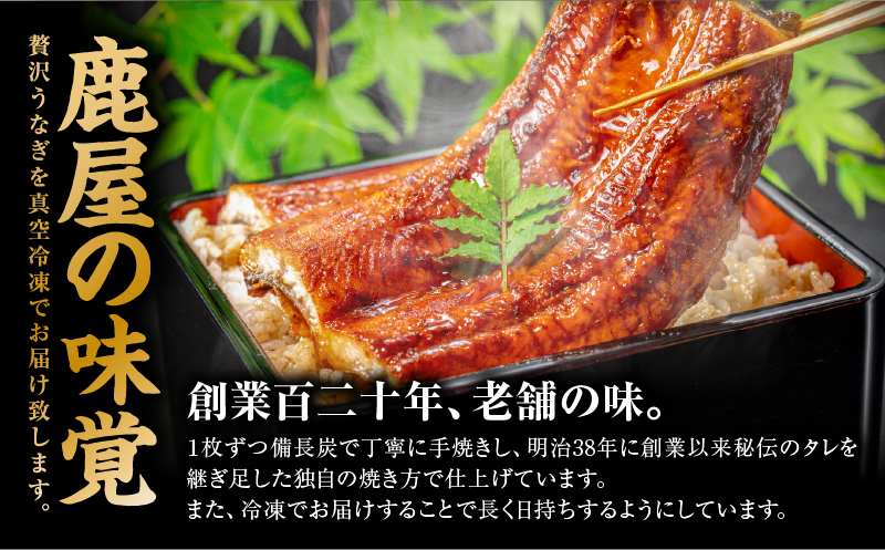 大隅産うなぎのかば焼き 4尾　KN174-001-04