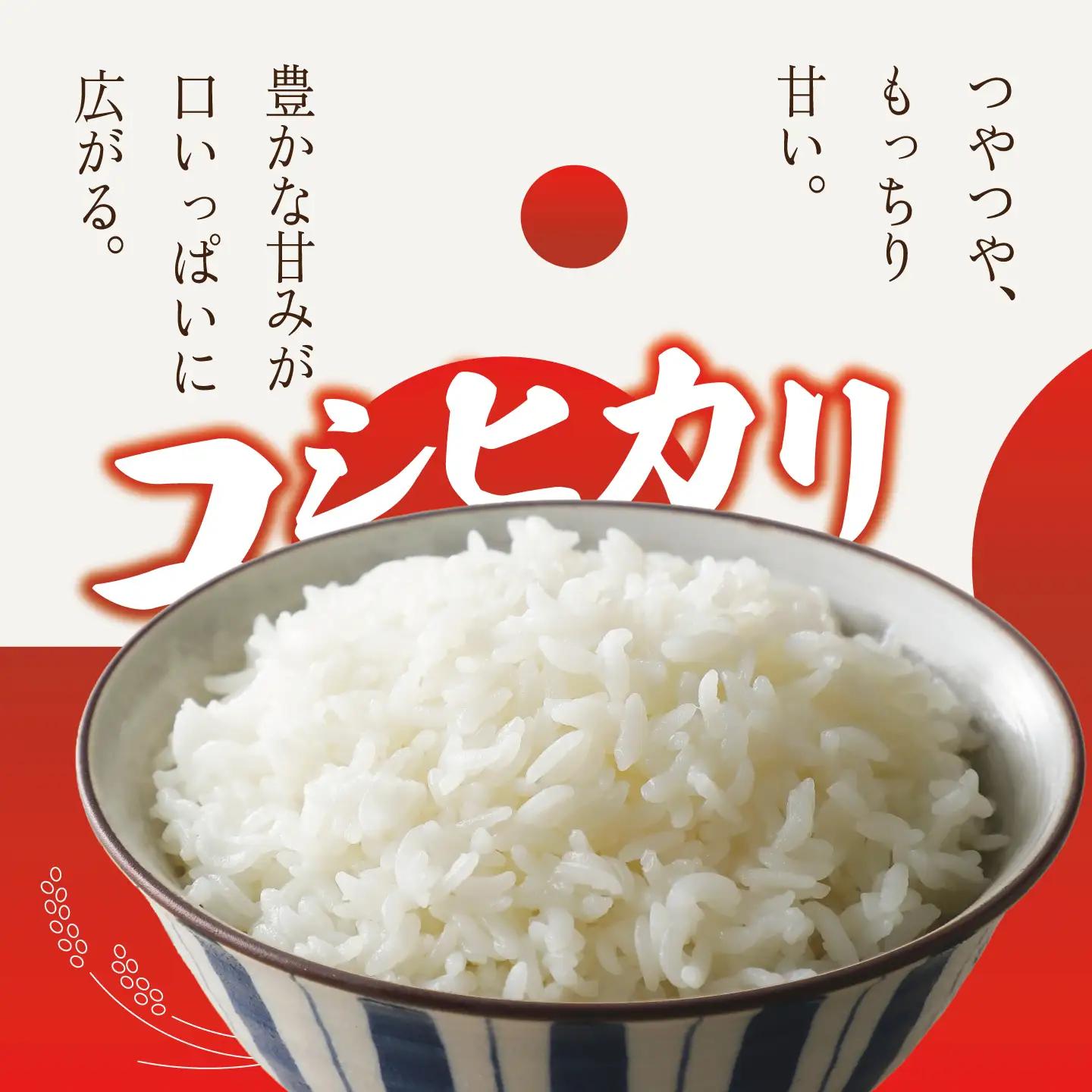 米 令和8年産 新米 コシヒカリ 玄米 30kg 米