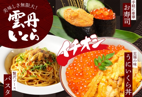 3381. 無地熨斗 ウニ チリ産 冷凍 いくら 二色丼 うに 雲丹 イクラ 海鮮丼 いくら醤油漬け 熨斗 のし 名入れ不可 贈り物 送料無料 北海道 弟子屈町