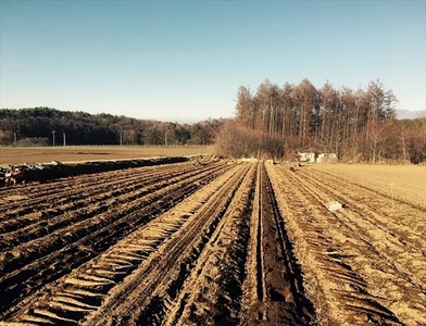 長野県産 ながいも 約10kg 〈2025年12月1日出荷開始～2025年12月25日出荷終了〉| 長芋 長いも 高原野菜 信州佐久 土作りからこだわり 作物本来の美味しさを目指して栽培 長野県 佐久