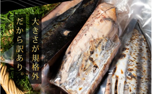 《12ヶ月定期便》「訳ありカツオのたたき3.0kg」〈高知県共通返礼品〉