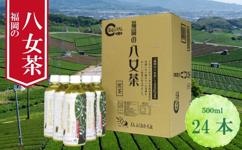 
            【八女茶 煎茶ペットボトル 500ml×24本】  お茶 ティー 八女茶  小分け お手軽 簡単 川崎 福岡 お茶 ふるさと納税お茶 福岡県八女茶 tea ふるさと納税八女茶 ふるさと納税抹茶 人気 おすすめ 福岡県 川崎町 八女抹茶 川崎町お茶 ふるさと納税お茶パウダー お茶小分け
          