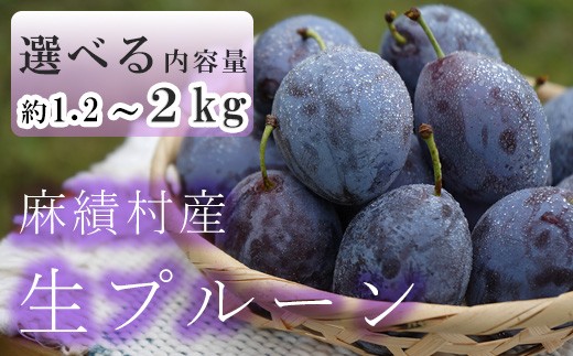 【2026年予約】信州 麻績村産 生プルーン 約 2kg 500g × 4パック フルーツ 果物 プルーン 産地直送 予約 麻績村 新返礼品 令和8年 収穫分 9月発送 9月上旬 9月中旬 受付 発送