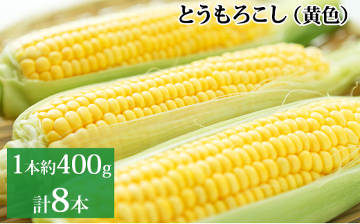 
新しのつ産　とうもろこし（黄色）2Lサイズ 8本
