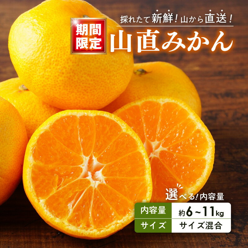 【ふるさと納税】【限定】【2025年先行予約】 みかん 山から直送 鮮度優先 ごろごろ規格 秀品 優品 良品 混合 選べる 内容量 箱込 6kg 11kg 家庭用 のし対応可 有田みかん 和歌山県産 産地直送 みかんの会 フルーツ デザート お取り寄せ 和歌山県 湯浅町 送料無料
