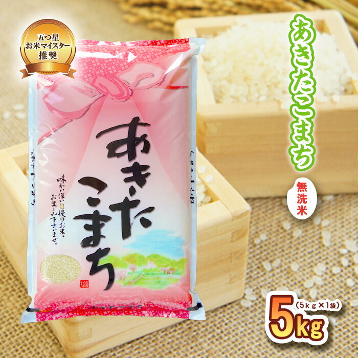 【ふるさと納税】無洗米 盛岡市産 あきたこまち 5kg お米マイスター 厳選 米 こめ お米 おこめ 白米 精米 ご飯 ごはん 秋田こまち 岩手 岩手県 盛岡市