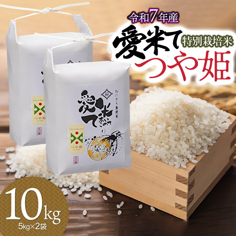 【ふるさと納税】【令和7年産先行予約】 特別栽培米 つや姫 精米 10kg(5kg×2袋) 　愛米て