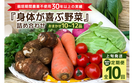 ＜発送月固定定期便＞『身体が喜ぶ野菜』詰め合わせ ( おまかせ 10～12品) 定期便 野菜 詰合せ 上旬発送全10回 詰め合わせセット お任せ 野菜定期便 季節の野菜 セット 有機栽培 EM農法 産地直送 野菜ボックス ギフト 家庭用 茨城県 潮来市 (017-0119)