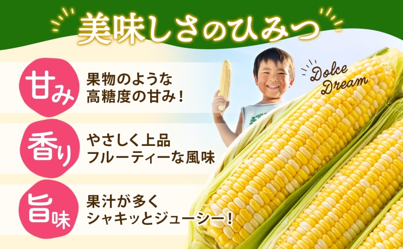 とうもろこし ドルチェドリーム 300g以上×6本 約1.8kg コーン もろこし バイカラー 白 黄 低農薬 高糖度 18度 甘い ジューシー 野菜 おやつ 旬 産地直送 送料無料 美濃グリーン 岐