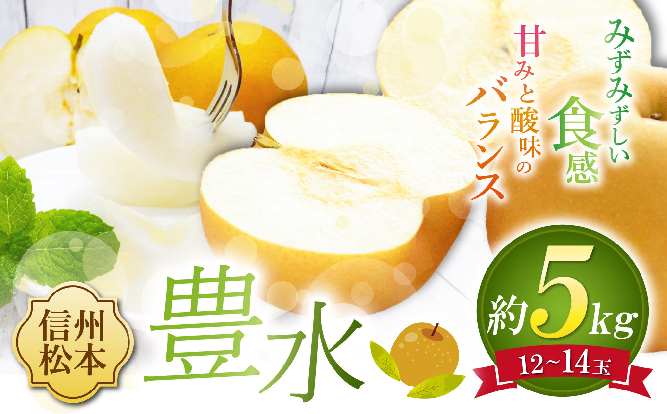 
            【先行受付】豊水 12～14玉 約5㎏｜ふるさと納税 松本市 豊水 果物 フルーツ 梨 なし ジューシー 果肉 美味しい 人気
          