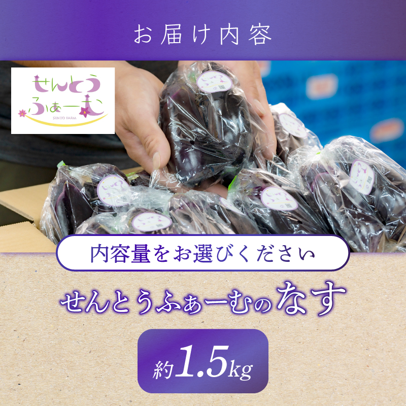 農家直送!高知県安芸市産　朝採れナス　1.5kg
