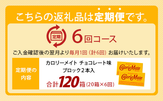 【6回定期便】≪チョコレート味≫ カロリーメイトブロック 2本入り 計20箱 ×6回 合計120箱【徳島 那賀 大塚製薬 カロリーメイト チョコ ビタミン ミネラル たんぱく質 脂質 糖質 5大栄養素
