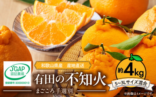 ZE6177n_和歌山県産 有田の 不知火(しらぬひ) 4kg (S～3Lサイズ混合)【まごころ手選別】