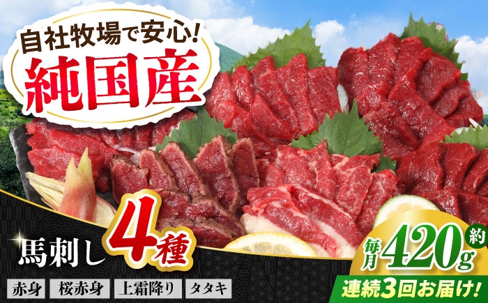 
                  【全3回定期便】『純国産』熊本の味 馬刺し 満喫 4種 セット 計約420g / 熊本 馬刺し ばさし バサシ 馬肉 赤身 霜降り ヘルシー 冷凍 食べ比べ 定期便 【有限会社 九州食肉産業】 [AYCN029]
                