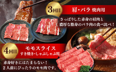 和牛 【全5回定期便】しまね和牛 寄附額10万円分 計2kg  [AIDI017] 