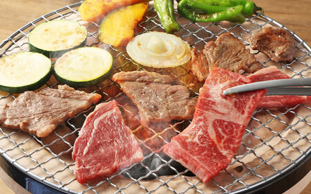 【訳あり】赤牛 焼肉 用 カット （バラ・ロース） 500g 熊本県産 牛肉 牛 国産 国産牛 熊本 肉 あか牛 焼き肉 セット 牛バラ 牛ロース