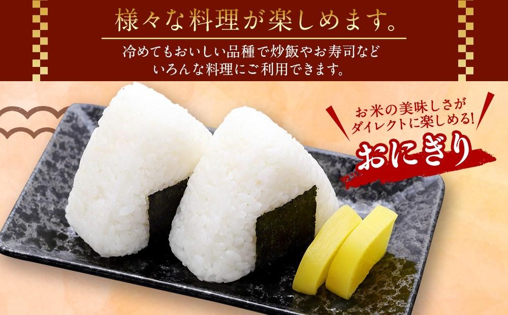 【令和7年産】特Aランク 無洗米 旭川産ななつぼし 7.5kg（3.75kg×2）フレッシュ真空パック _00403