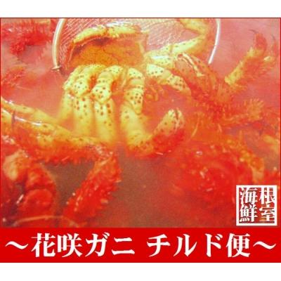 ふるさと納税 根室市 【北海道根室産】花咲ガニ2〜3尾(チルド便) C-57014