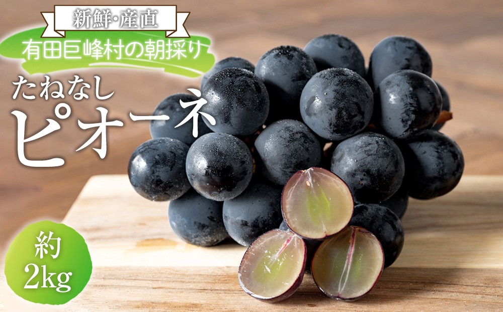 ［先行予約］［新鮮・産直］有田巨峰村の朝採りたねなしピオーネ　約2kg★2026年８月中旬頃より順次発送 BZ079