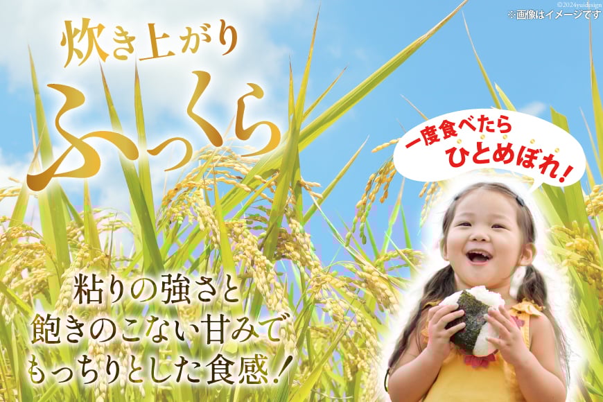 米 南三陸米 ひとめぼれ 1kg×5袋 計5kg [新みやぎ農業協同組合 宮城県 南三陸町 m304amh540006] 白米 一等米 精米 お米 ご飯 ごはん コメ こめ 小分け