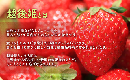 【予約受注】2026年2月下旬より発送　新潟県産越後姫2L　15粒入り 