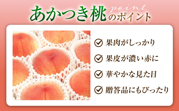 藤渕果樹園のあかつき桃 10〜12玉入り 〈2026年7月〜発送〉 ／ フルーツ 果物 くだもの 食品 人気 おすすめ 送料無料 桃 もも あかつき桃 モモ 季節のフルーツ 【株式会社内子フレッシュパ