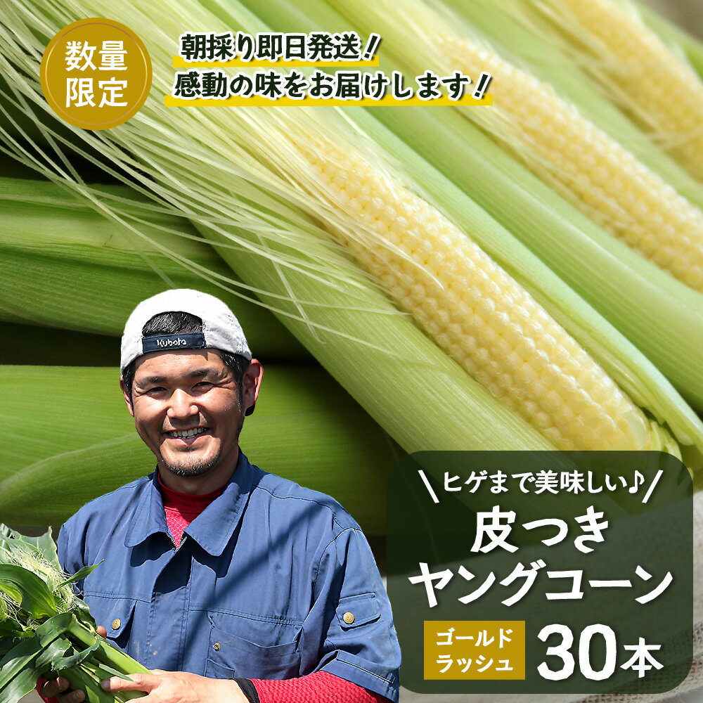 【ふるさと納税】数量限定 ヒゲまで美味しい 皮つき ヤングコーン 30本 ★2026年4月下旬以降発送★FR-520