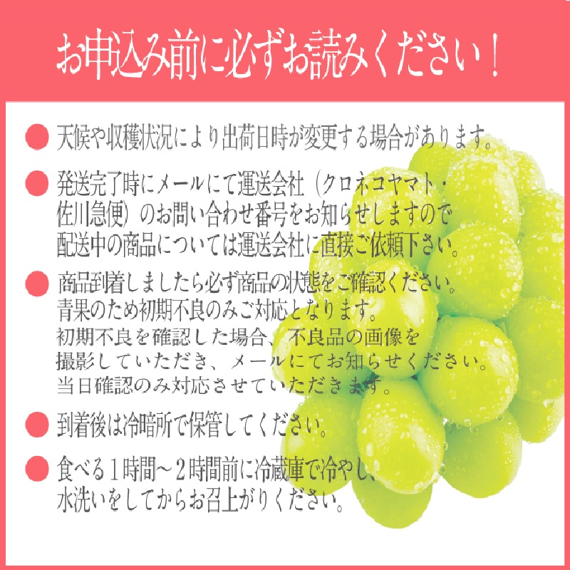 【2025年 予約受付中】  プレミアム シャインマスカット 晴王 1房約620g/ 岡山県 船穂産 赤秀品 種無し 皮ごと食べる みずみずしい 9月10月にお届け フレッシュ 晴れの国 おかやま 果