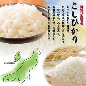 【チョイス・ふるなび】令和7年産 新潟見附市産コシヒカリ5kg