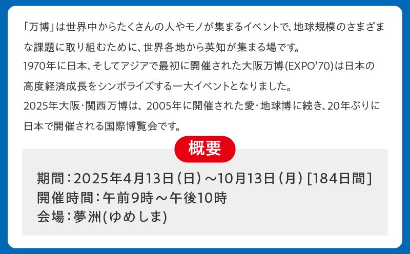 099V080 【夏パス】2025年日本国際博覧会 大阪・関西万博 入場チケット（小人1名分）【EXPO 2025 大阪 関西 日本 万博 ばんぱく 夢洲 期間限定】