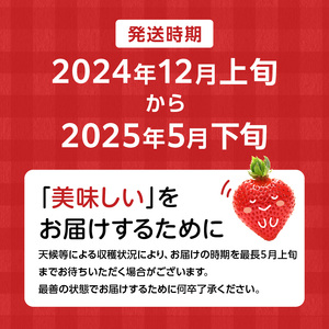 【予約受付中】エコファーマー　あまおう（2023年12月～順次発送）300ｇ×4パック_Fi014_いちご あまおう 300g×4パック 計1200g 大粒 濃厚な甘さ エコファーマー スイーツ デザ