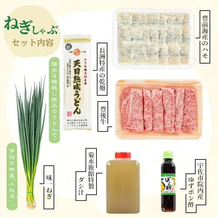 ねぎしゃぶ＋太閤からあげ(7品)ねぎしゃぶ しゃぶしゃぶ おおいた和牛 鱧 はも 鍋 お鍋 唐揚げ からあげ セット【101500502】【菊水旅館】