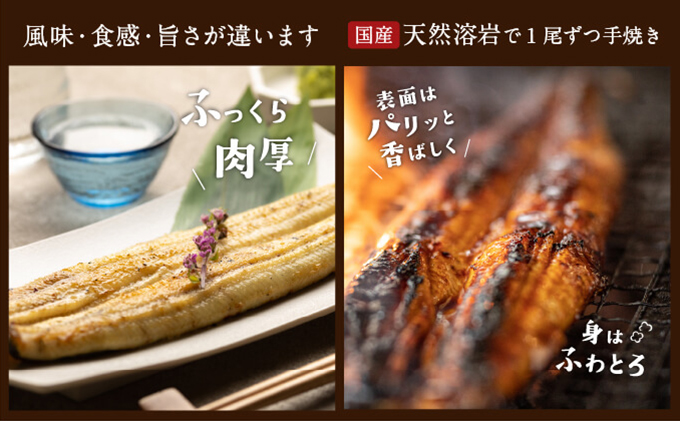 浜名湖産 朝じめ鰻 溶岩焼きコンビセット 約140g×3尾（蒲焼