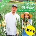 【ふるさと納税】淡路島産新玉ねぎ　うずしお甘玉ねぎ　5kg◆配送2月下旬～6月下旬