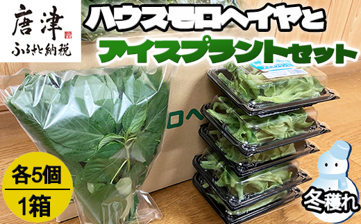 『先行予約』【12月上旬より順次発送】冬穫れハウスモロヘイヤ(100g×5袋)とアイスプラント(70g×5P)セット ネバネバ 高栄養価 プチプチ 新体験 定番おひたし 和洋中の各種スープ お肉・お魚のメイン料理の付け合わせ 色んなお料理のソースにも