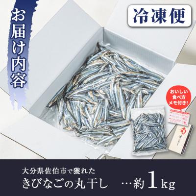 ふるさと納税 佐伯市 ＜訳あり・業務用＞きびなごの丸干し (計約1kg) |  | 02