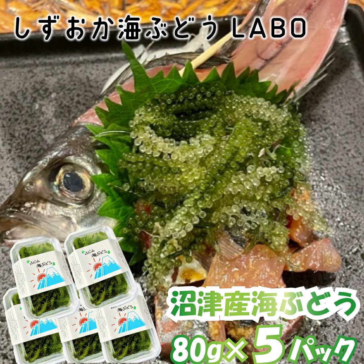 【ふるさと納税】 海ぶどう 80g 5パック 産地直送 数量限定 静岡県 沼津