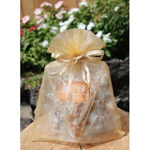 【ラッピング、Thank Youカード付】胡桃のハチミツキャラメリゼ(キャラメル・ほうじ茶・レモン)【1676442】