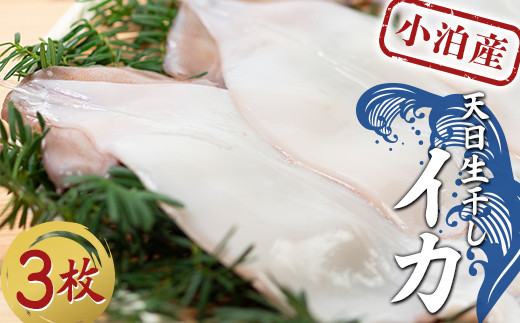 
小泊産 天日生干しイカ 3枚 【徐福の里物産品直売所】 イカ 烏賊 海鮮 BBQ 生干し チルド 冷凍 F6N-135
