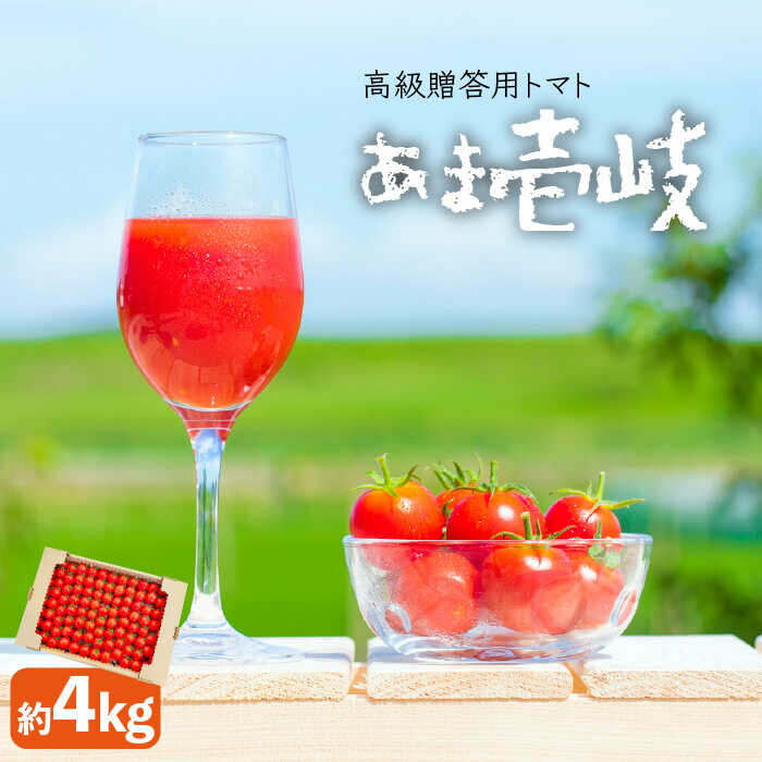 【ふるさと納税】【先行予約】高級贈答用トマト「あま壱岐」約4kg【2025年12月以降順次発送】 [JAE005] トマト とまと 野菜 果物 フルーツ 甘い 美容 健康 おやつ サラダ 壱岐 長崎 28000 28000円 のし プレゼント ギフト
