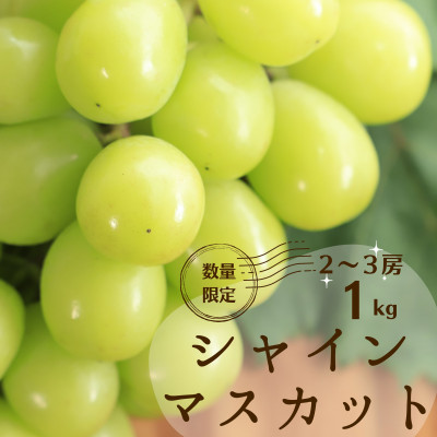 シャインマスカット約1kg(2～3房)【配送不可地域：離島】【1321248】