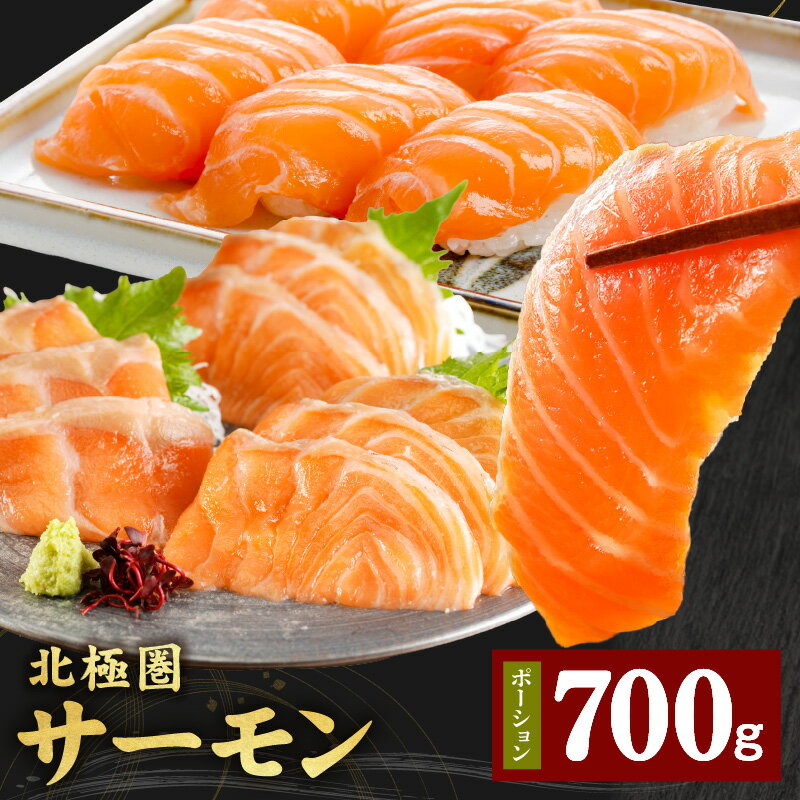 【ふるさと納税】北極圏サーモン ポーション 700g アトランティックサーモン サーモン 魚介類 魚 海鮮 鮭 ノルウェー産 刺身 カルパッチョ お寿司 パスタ 食品 お取り寄せ 冷凍 泉佐野市 送料無料 骨取り 骨抜き