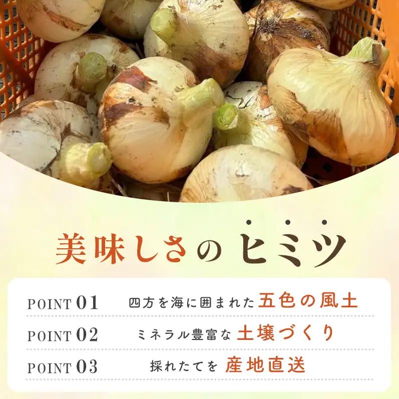 新玉ねぎ 淡路島産 3kg もぐもぐファーム 甘い 新玉ねぎ
