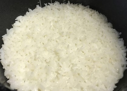 ≪令和8年産先行予約≫ ハツシモ 新米 10kg｜新米