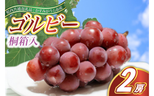 ＜2025年9月より順次発送予定＞ゴルビー　桐箱入り2房(県内共通返礼品:かすみがうら市産) (BR115)