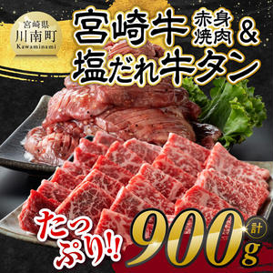 ※発送時期が選べる※宮崎牛赤身焼肉＆塩だれ牛タン　計900g 【 肉 宮崎牛 赤身 牛肉 牛たん たん 厚切り 塩ダレ 塩だれ タン 味付き BBQ 焼肉 焼き肉 焼くだけ おかず 簡単調理 】