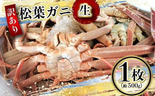 
                  （訳あり）松葉ガニ（生なま） 1枚（約500g）【年明け配送】※着日指定不可※北海道、沖縄、一部離島への配送不可【松葉がに 松葉蟹 ズワイガニ 蟹 カニ かに 国産 人気 おすすめ 鳥取県 琴浦町 送料無料】
                